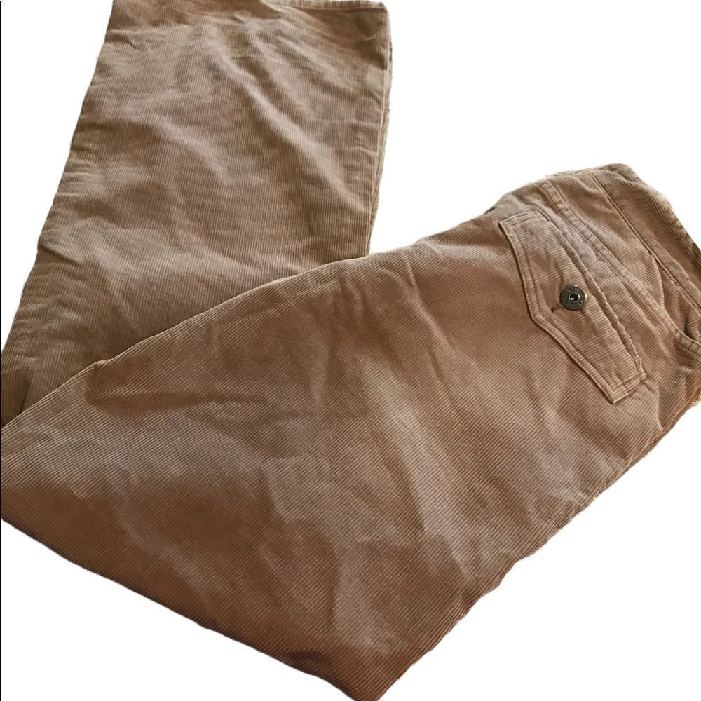 Fossil size 31 R brown cords excellent condition